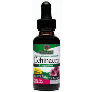 Echinacea Extract Liquid 1 oz from Nature's Answer