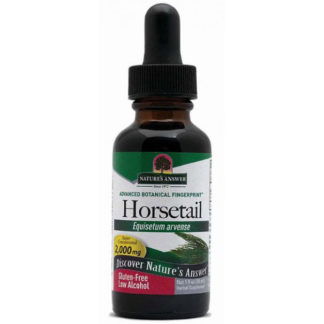 Horsetail Herb Extract Liquid 1 oz from Nature's Answer