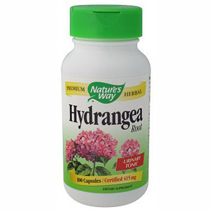 Hydrangea Root 100 caps from Nature's Way