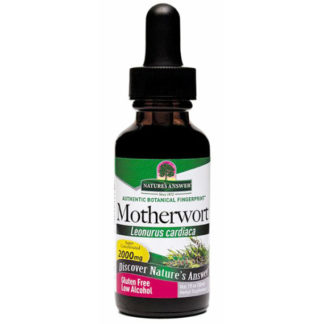 Motherwort Herb Extract Liquid 1 oz from Nature's Answer